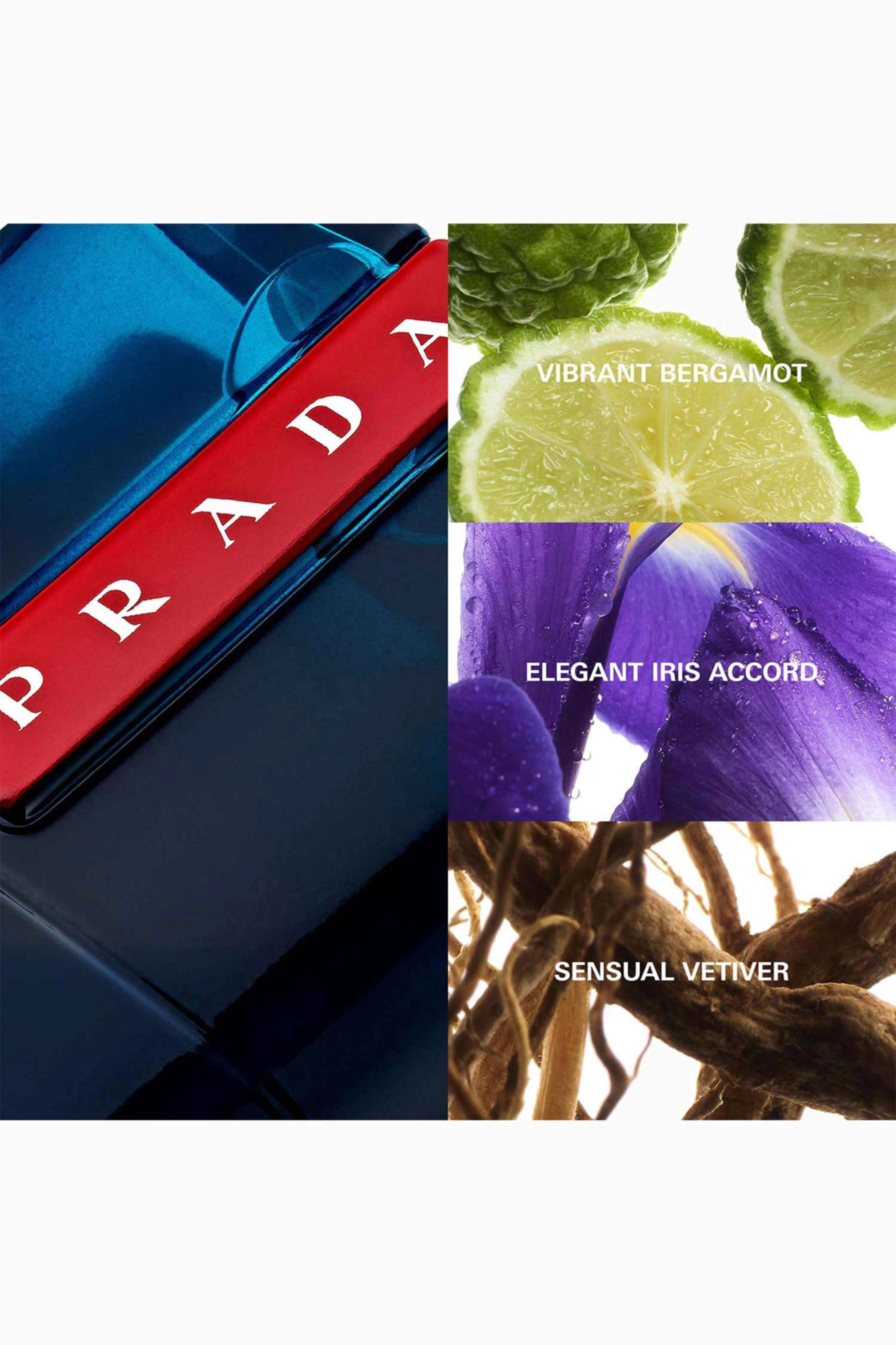 Luna Rossa Ocean Eau de Toilette 100ml