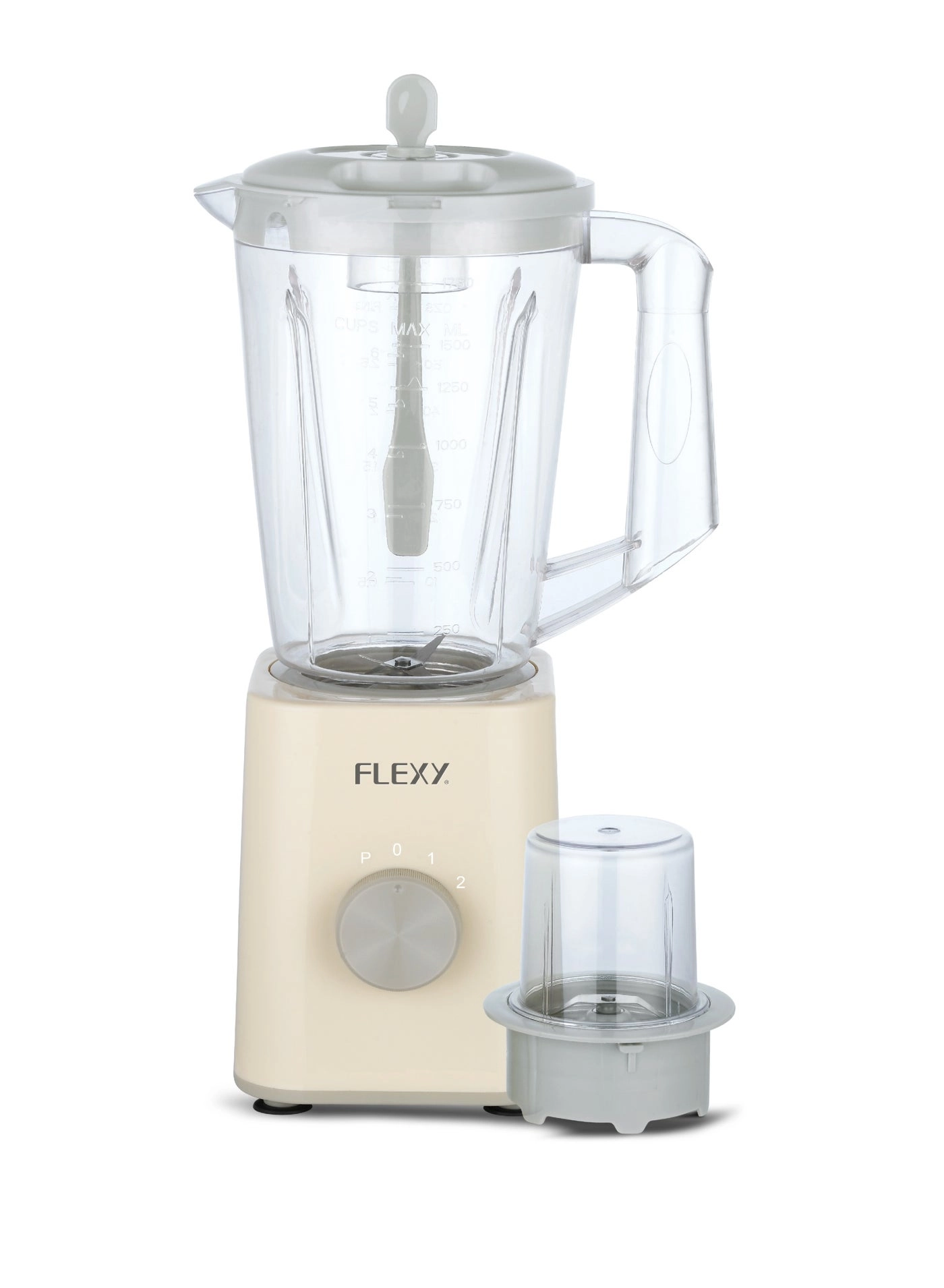 Flexy 2-in-1 Mixer Grinder & Blender - 650W