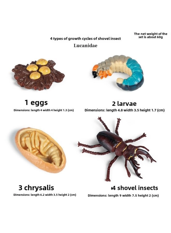 Generic Realistic Insect Toy Animal Models - Honeybee Spider Dragonfly