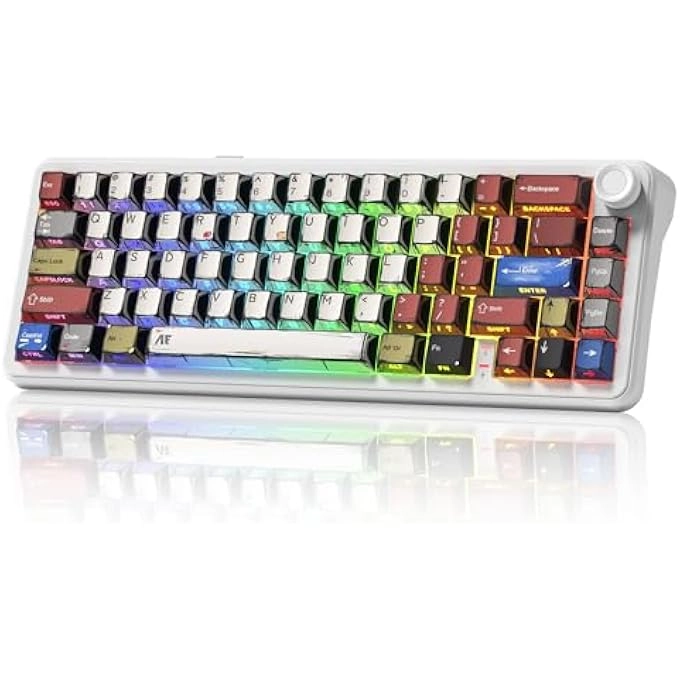 rayihni L65 - Wireless