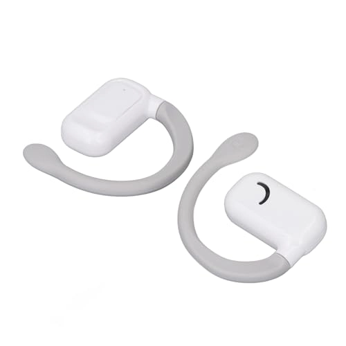 Translation Earphones