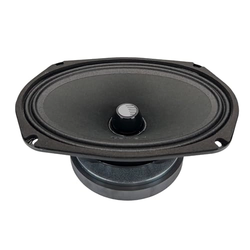 CM6952 - 6x9 1200W 300W RMS