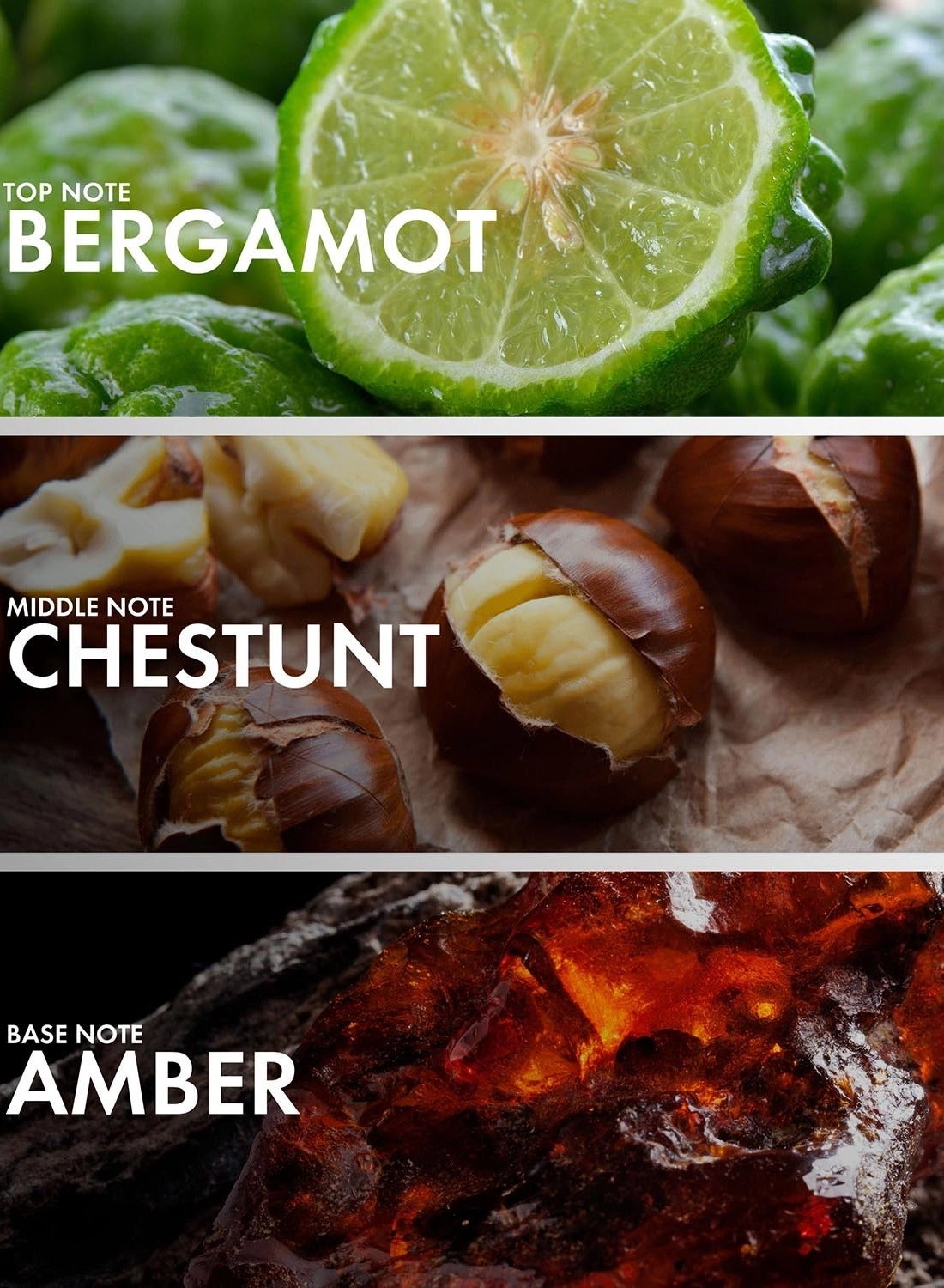 Woody Chestnut Eau de Parfum - 50 ml