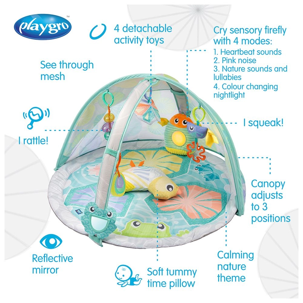 Zen Garden - Suitable for 0 month & above