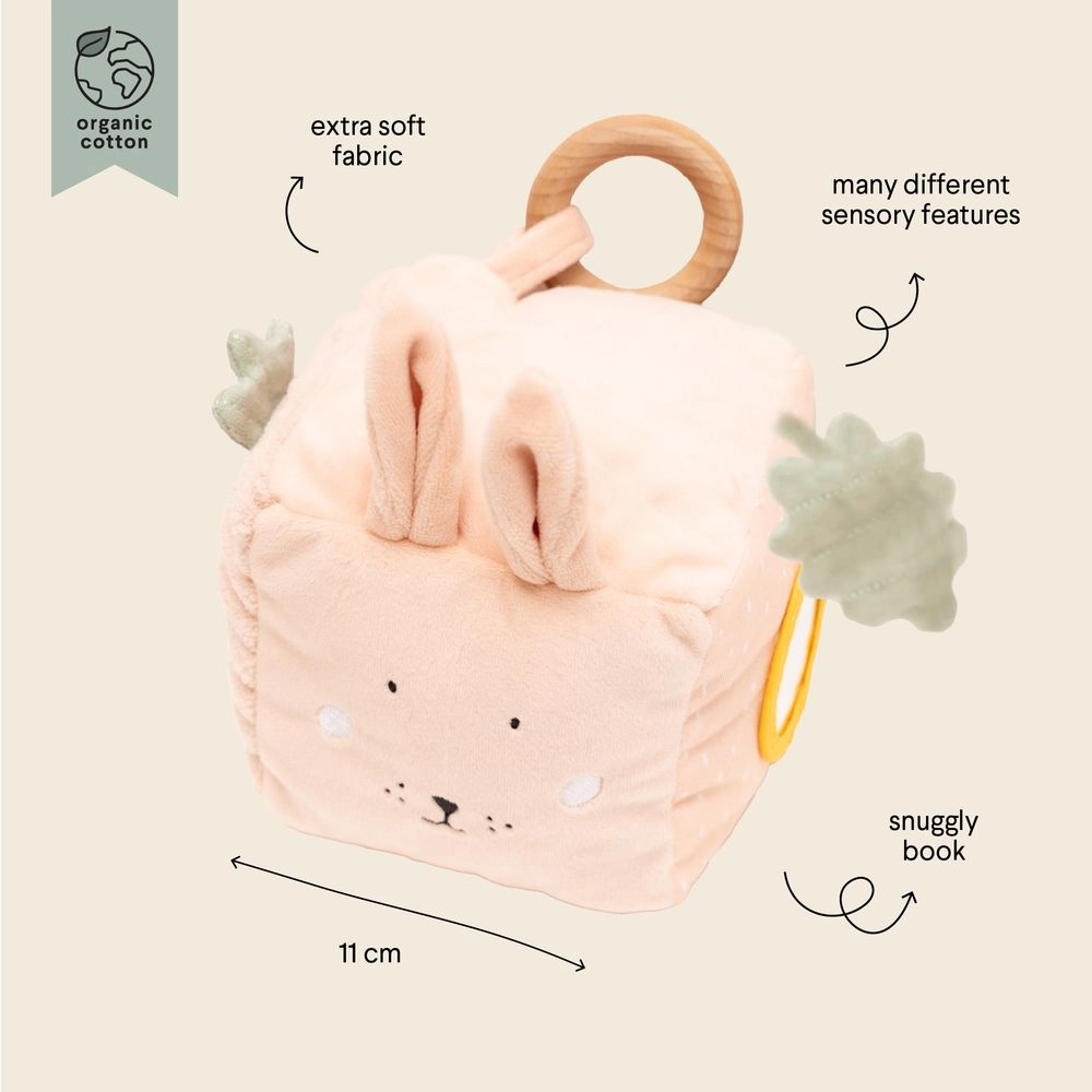 Activity Cube - Mrs. Rabbit 6 months