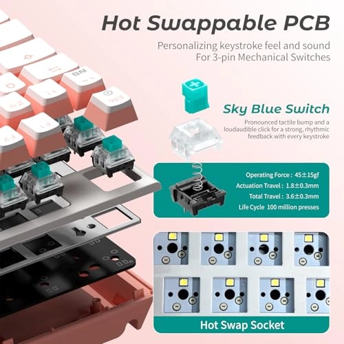 X4 - US Wired/Wireless