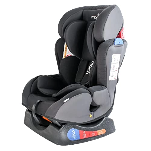 Sumo - Group 012 Seat Belt