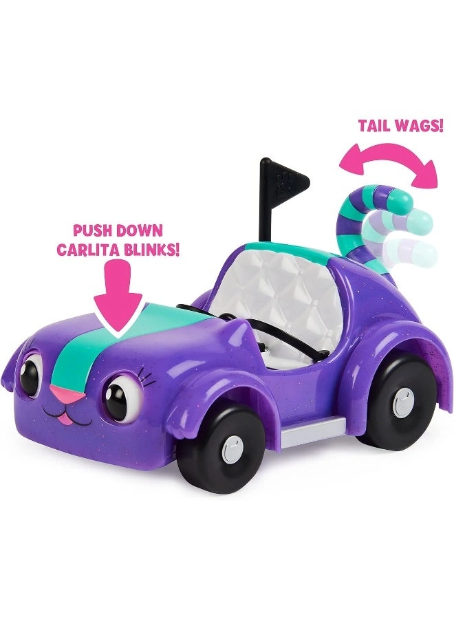 Carlita & Pandy Paws Picnic Vehicle - 3+ Years