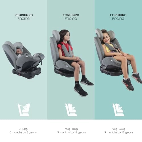 Rover - 0-12 yr(s) Seat Belt