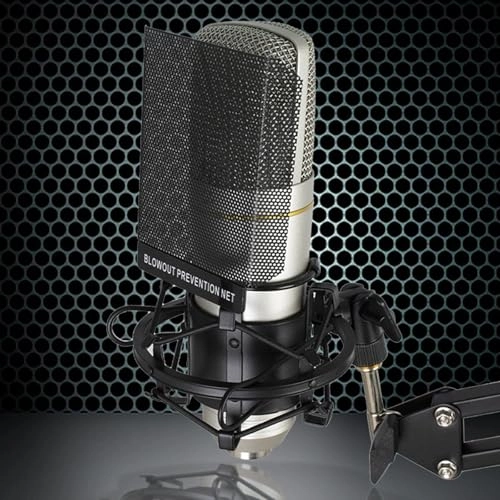 ZX89 Wired Microphone - 48V Large Diaphragm