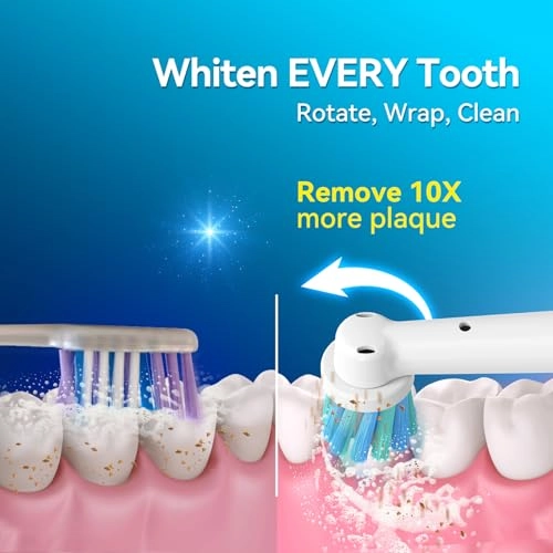 SG-2603 - Rotating Electric Toothbrush black L