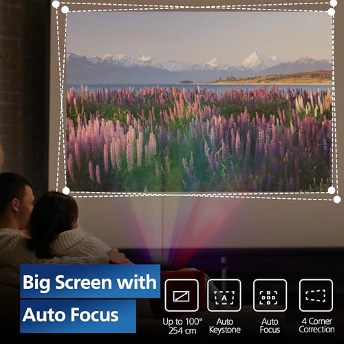 NeoPix 450 NPX 450/INT Up to 500 lumens