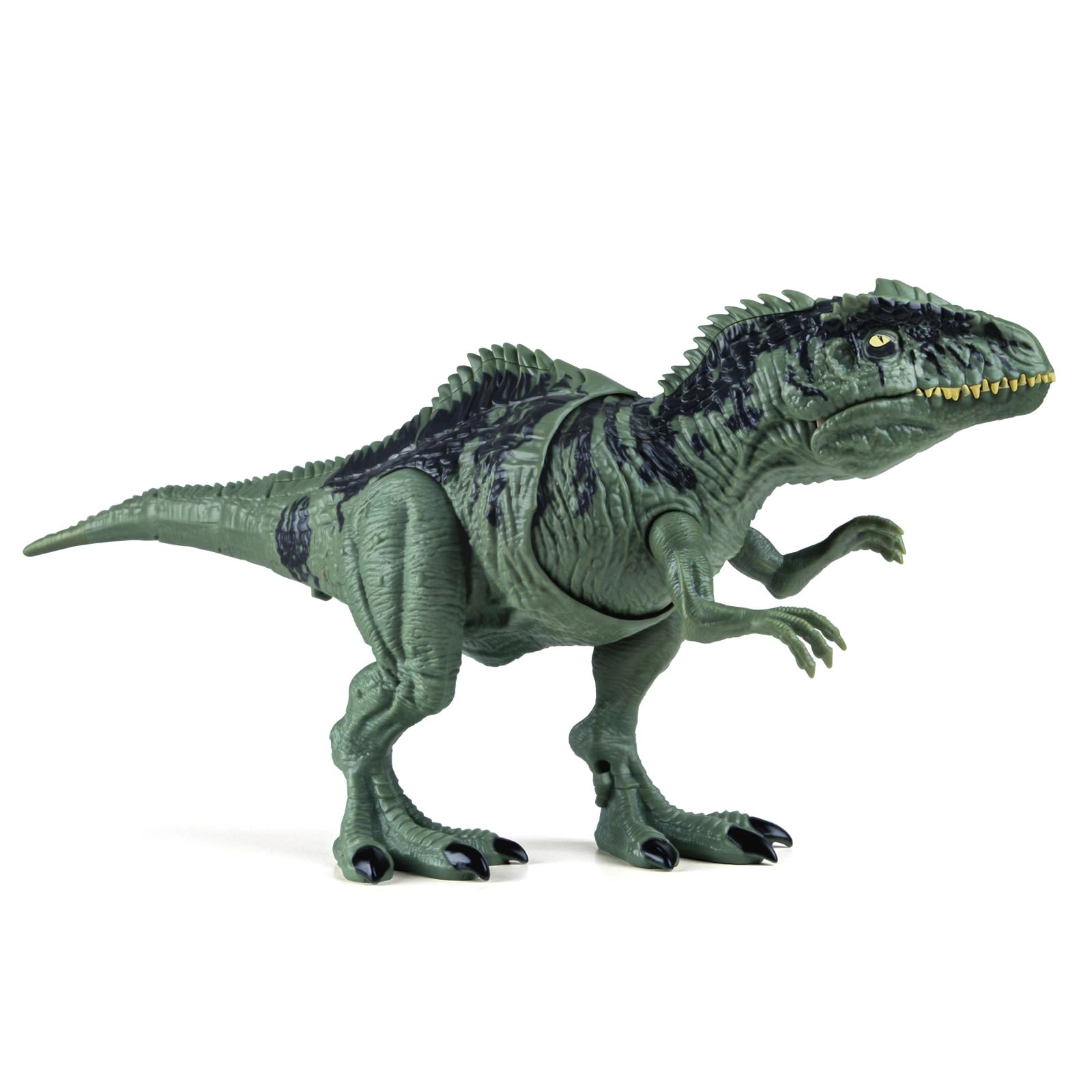 Arabest Giganotosaurus - 3-5 5-7