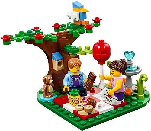 Romantic Valentine Picnic (40236)