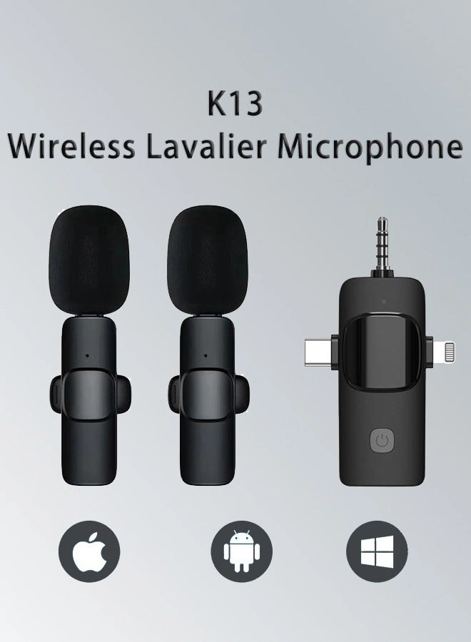 WS-858 Wireless Microphone
