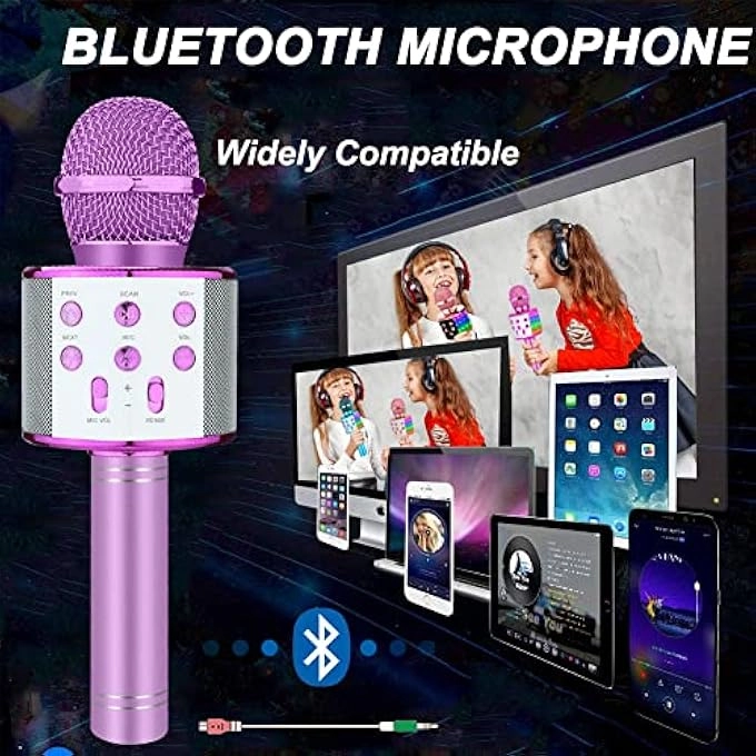 rayihni Karaoke Microphone Pack