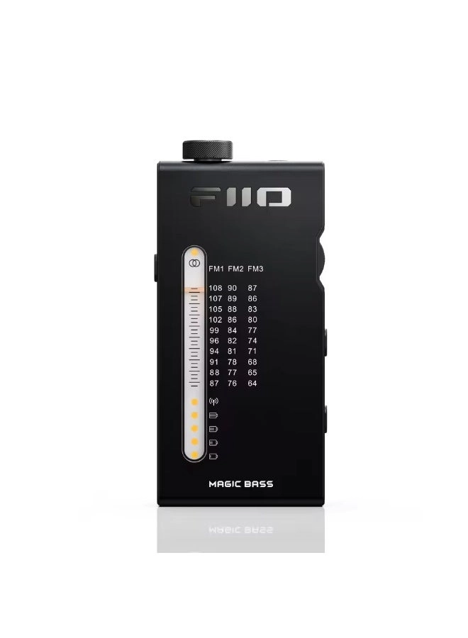 FiiO RR11 - Portable