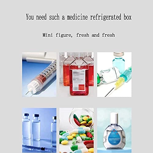 Insulin Cooler - 2-8 C