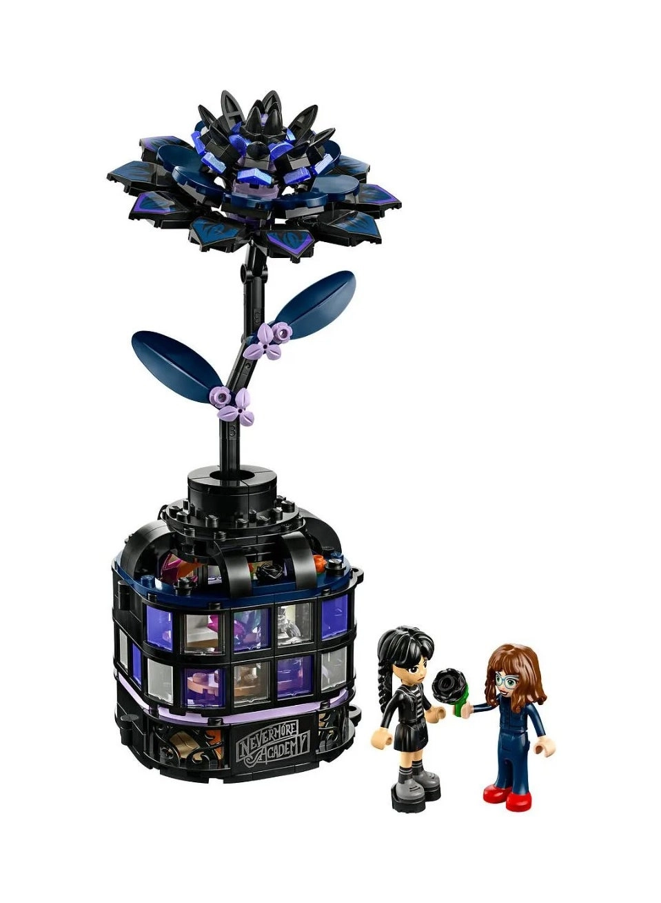 Wednesday Black Dahlia Flower