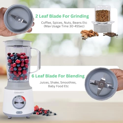2-in-1 Blender & Grinder - 600W