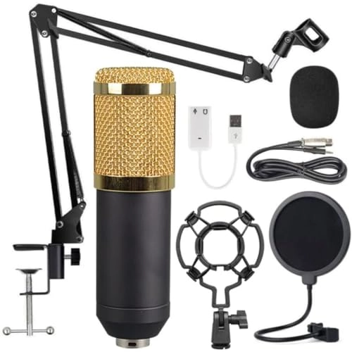 Professional Usb Studio Microphone USB Microphone