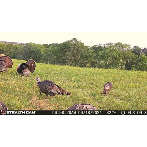 Sonix - Wireless 720P