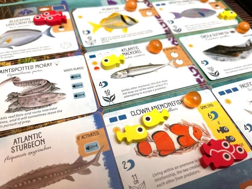 Finspan Upgrade Pack - Squishy Eggs and Wooden Fish Tokens