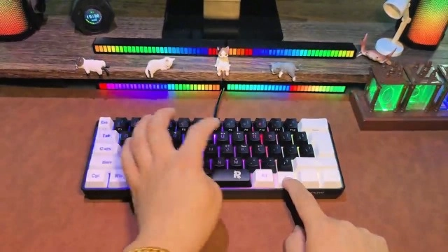 60% Wired Gaming Keyboard