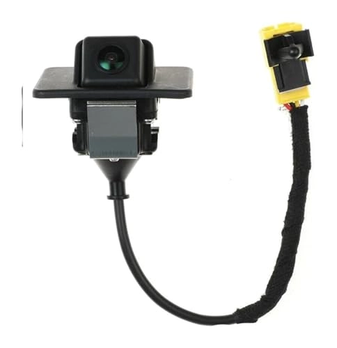 Reversing Camera - Night Vision 728 x 582 pixels