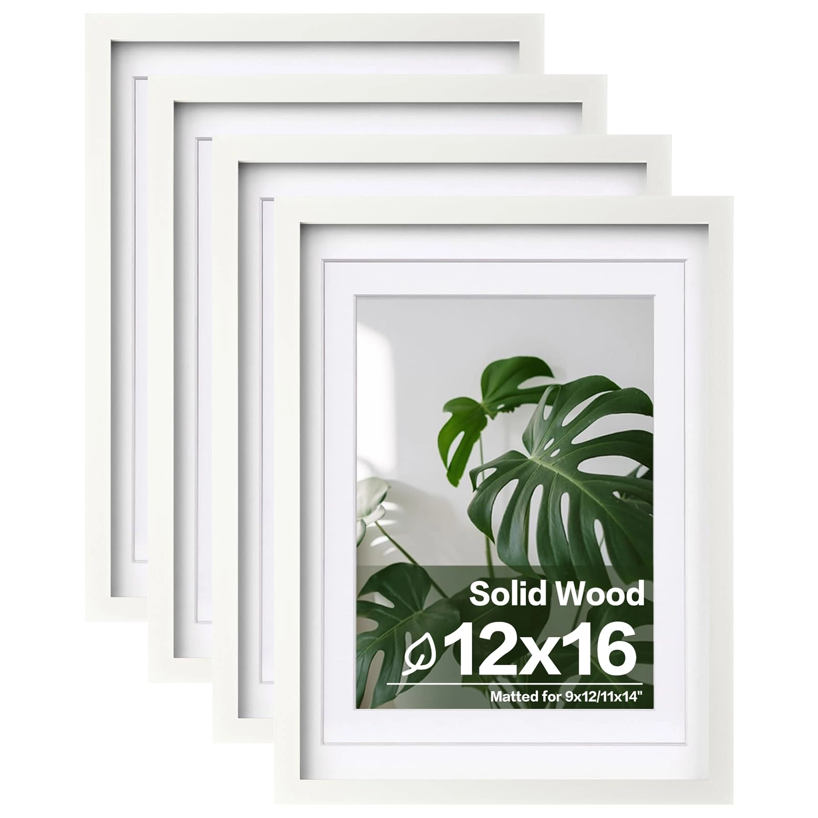 picture frames - 12x16