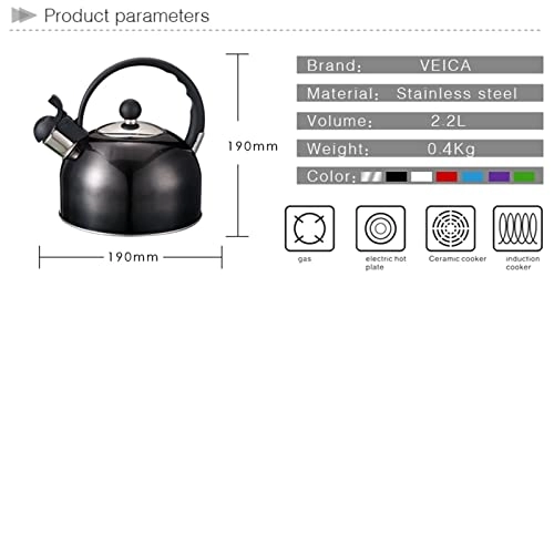 Kettle - Stainless Steel Auburn