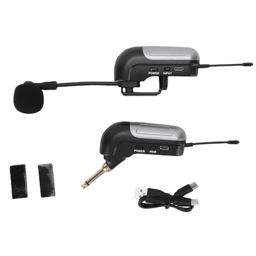 Accordion Microphone - 1