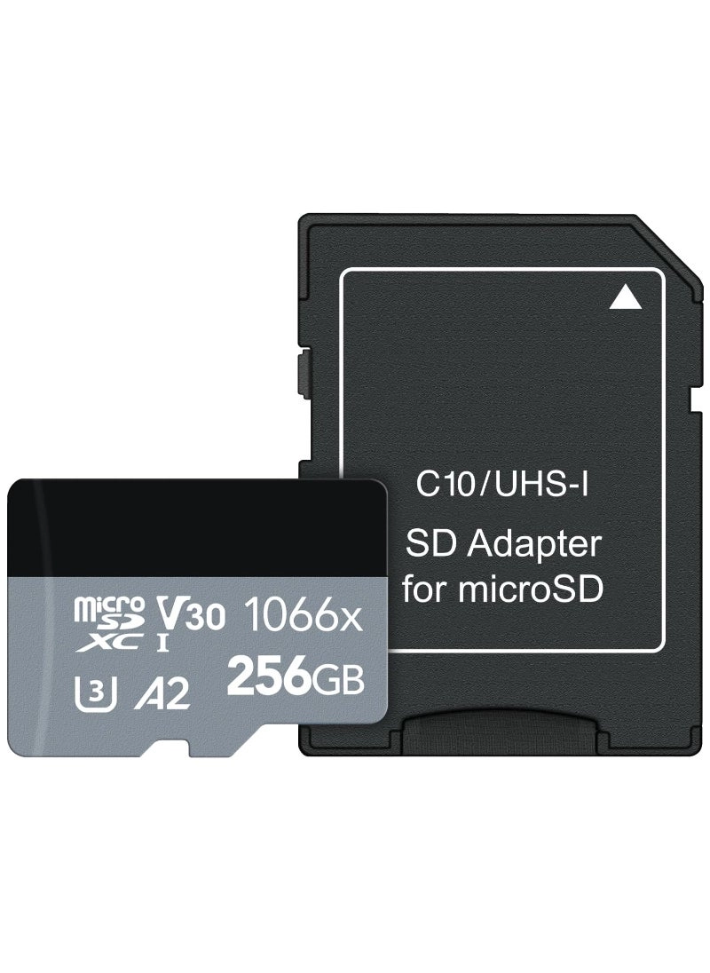 1066X Micro SDXC U3 256GB