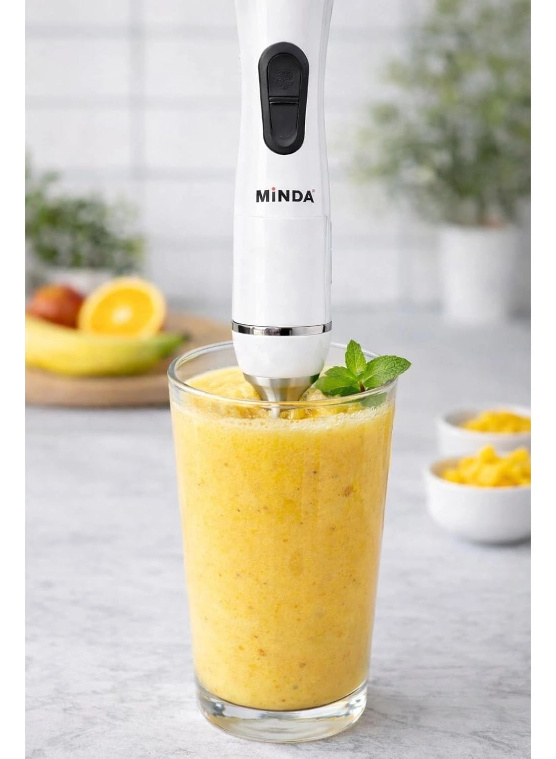 HB-2051S - Hand Blender 4-in-1