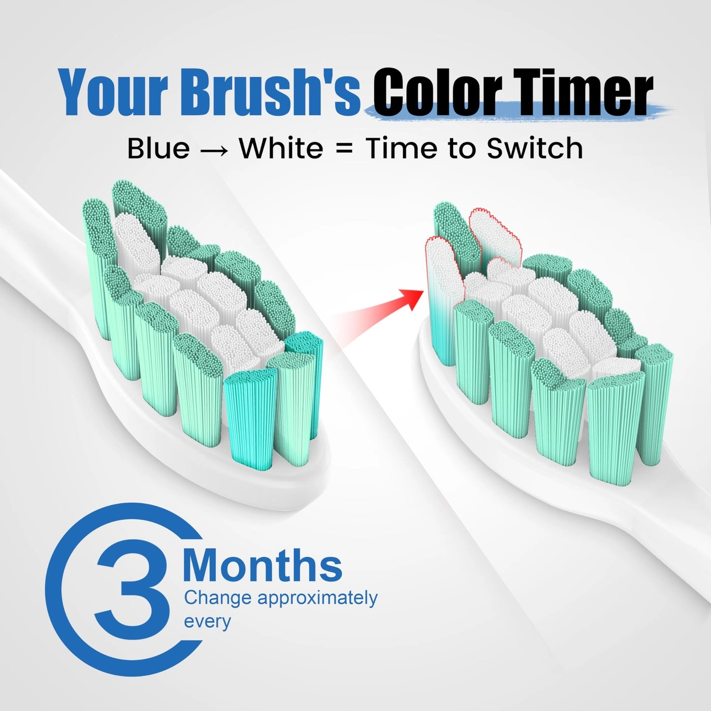 Replacement Toothbrush Heads - Electric 10 Pack Black