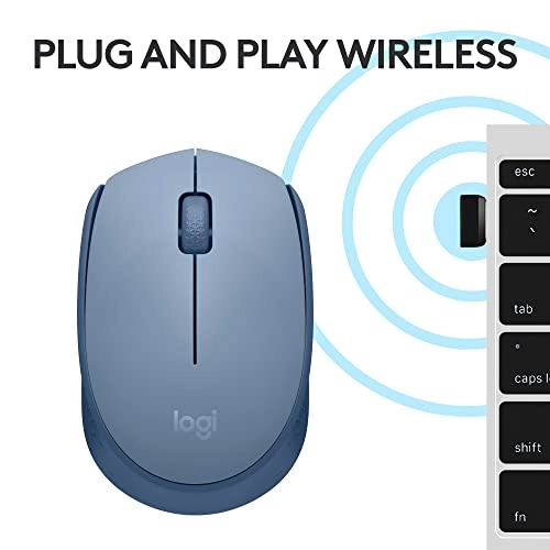 M171 Mouse - Wireless