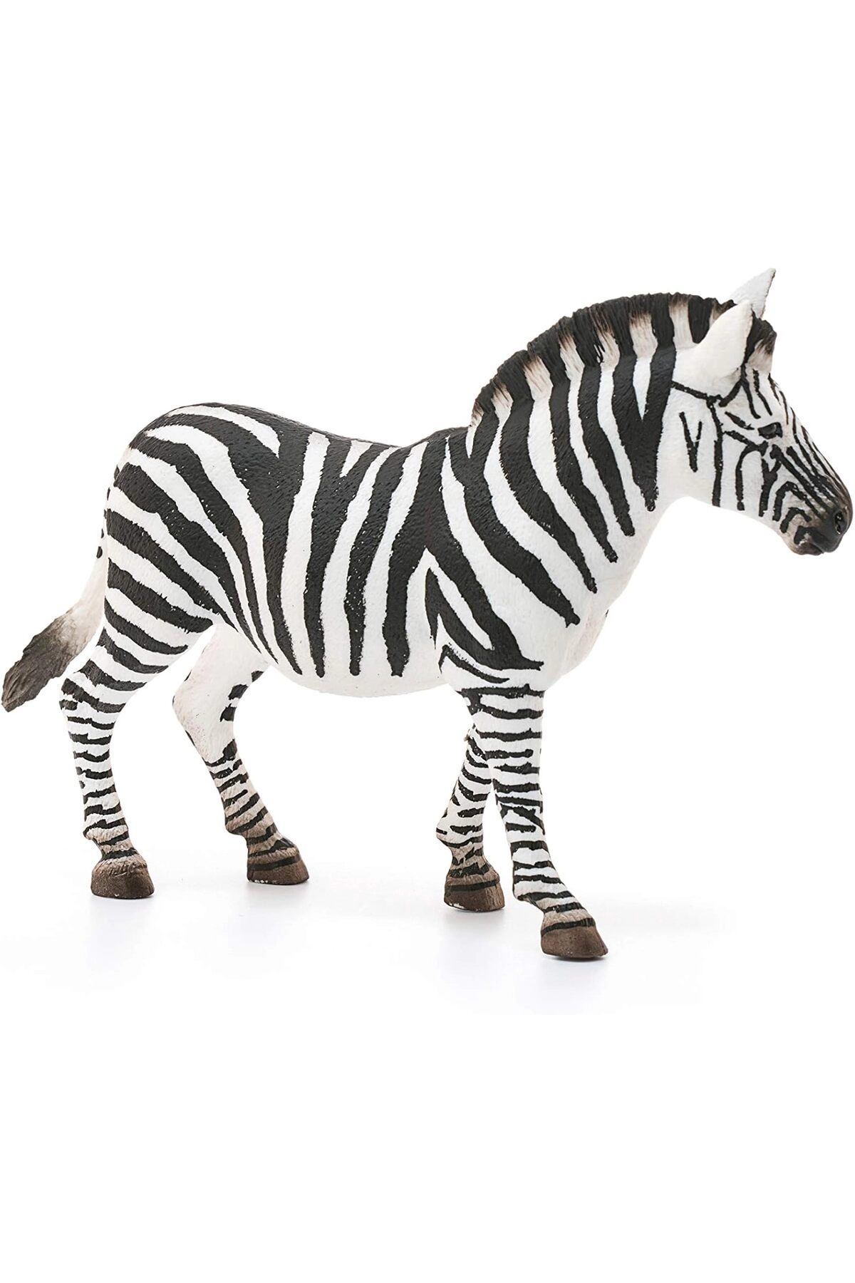 Zebra - 3 to 8 1 Piece