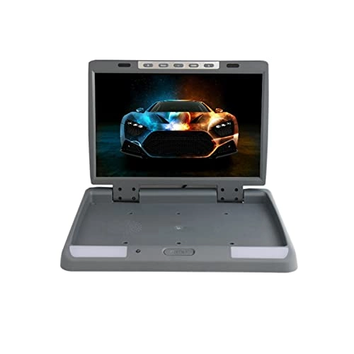 Car Ceiling Display - 19 Inch