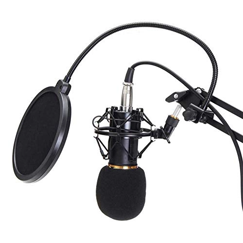 BM800 - Condenser Microphone Kit