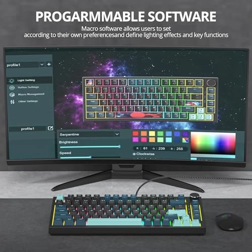 75% TKL Wired Mechanical Keyboard - Wired/Wireless