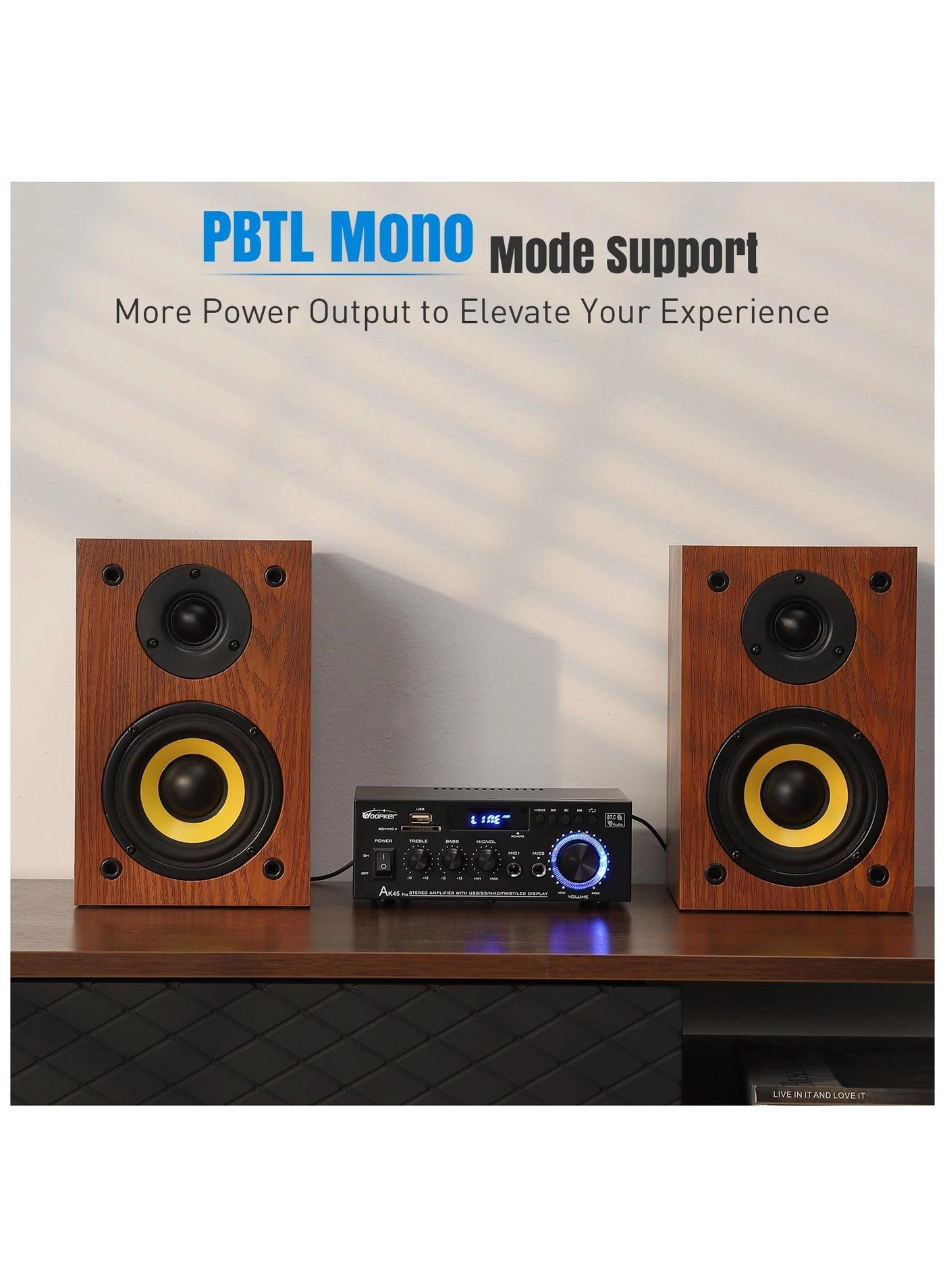 AK45 Pro - 2 Channel 30W