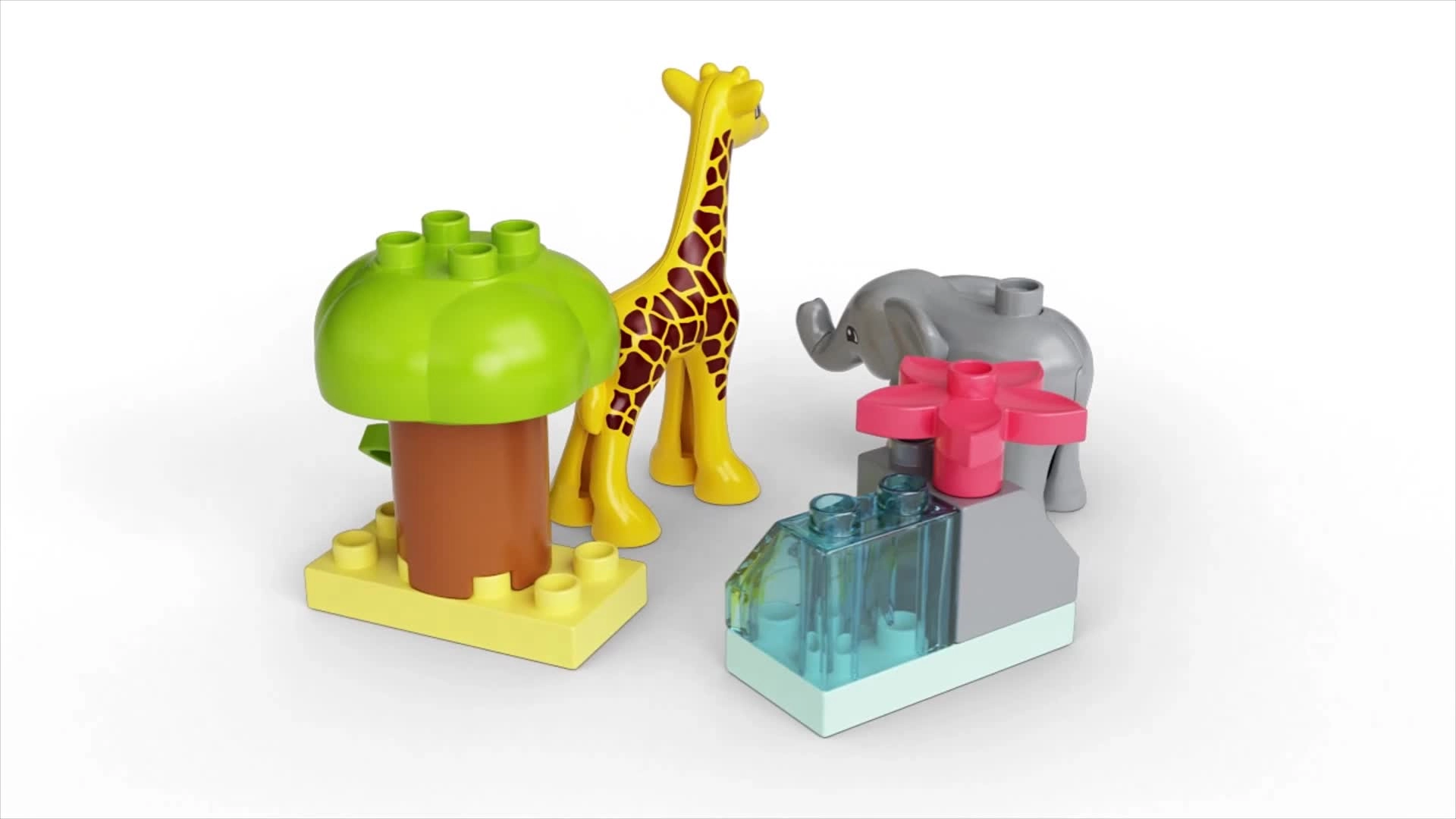 Wild Animals of Africa (10971)