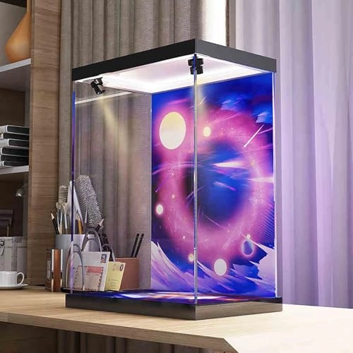 Clear Acrylic Display Case - Ceiling light + background