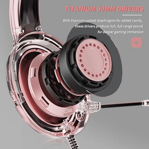 BW02-BT Wireless Headset