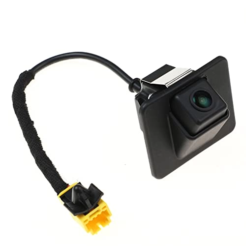 Car Reversing Cameras - Night Vision