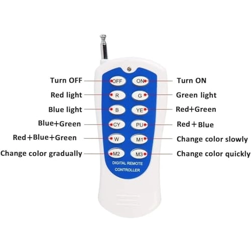 LED Ring Fountain Light