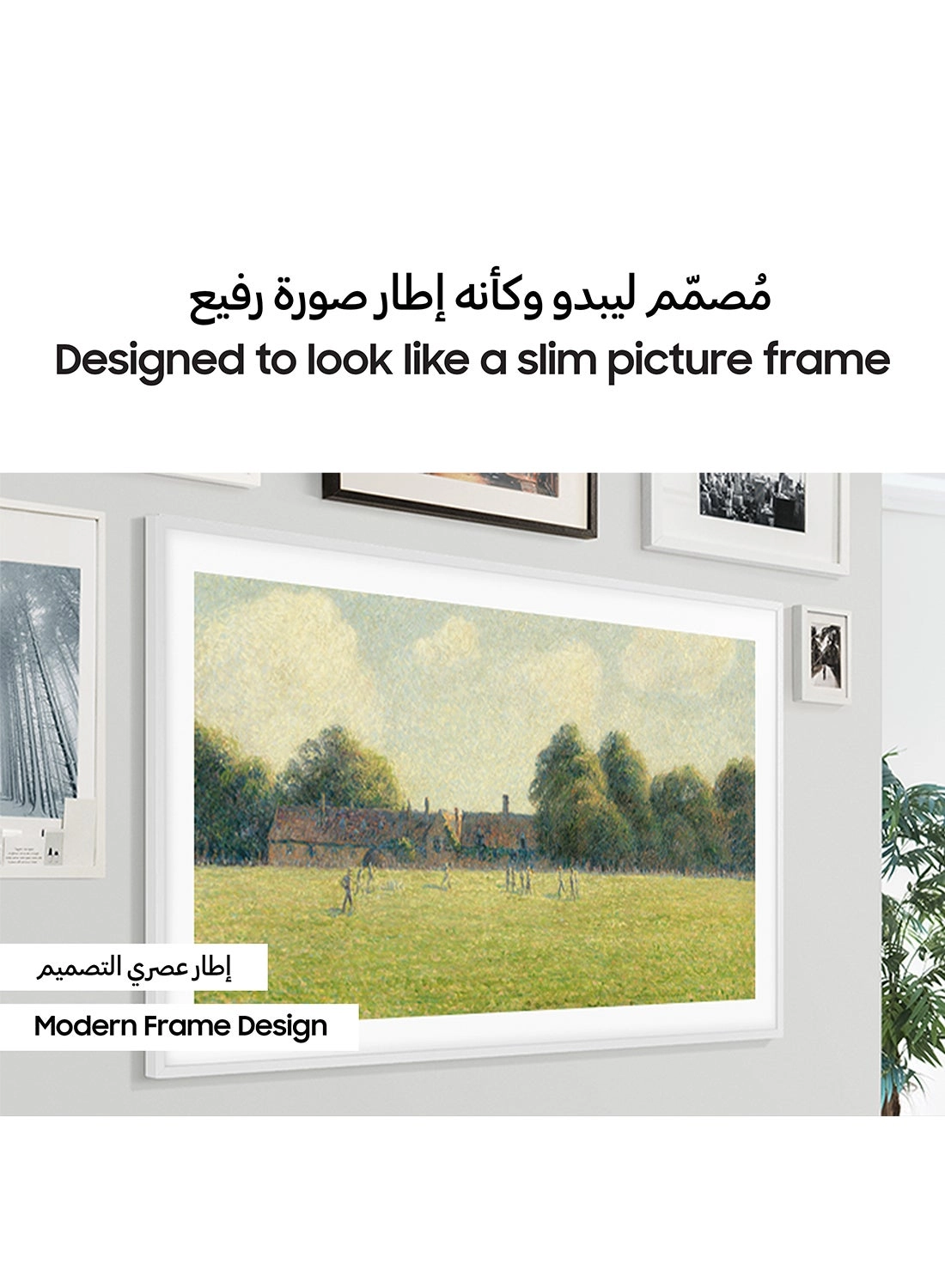 QA85LS03BAUXZN - 85 in