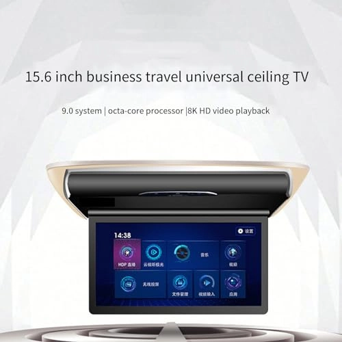 Car ceiling display - 15.6-inch 17.3-inch