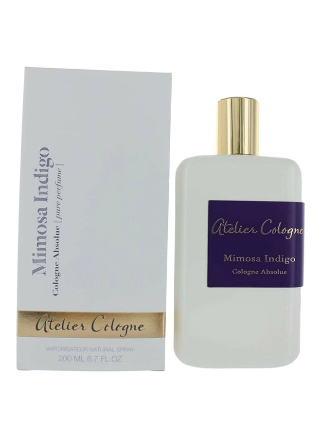 Mimosa Indigo - 200ml