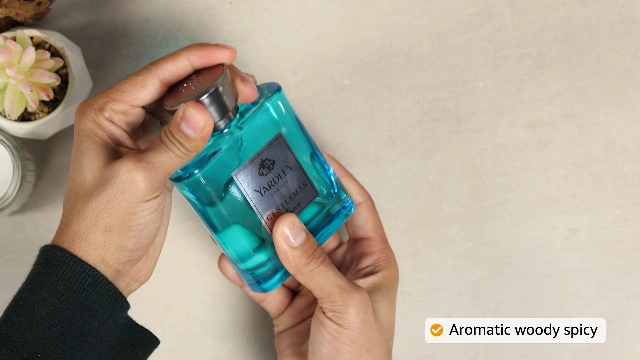 Gentleman Sauve Eau de Parfum 100ml